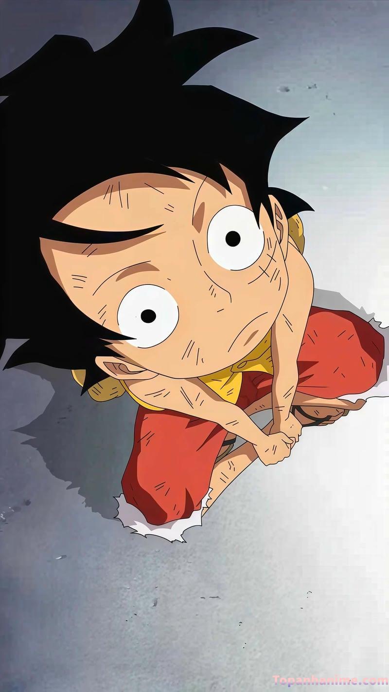 Loạt hình ảnh luffi độc quyền