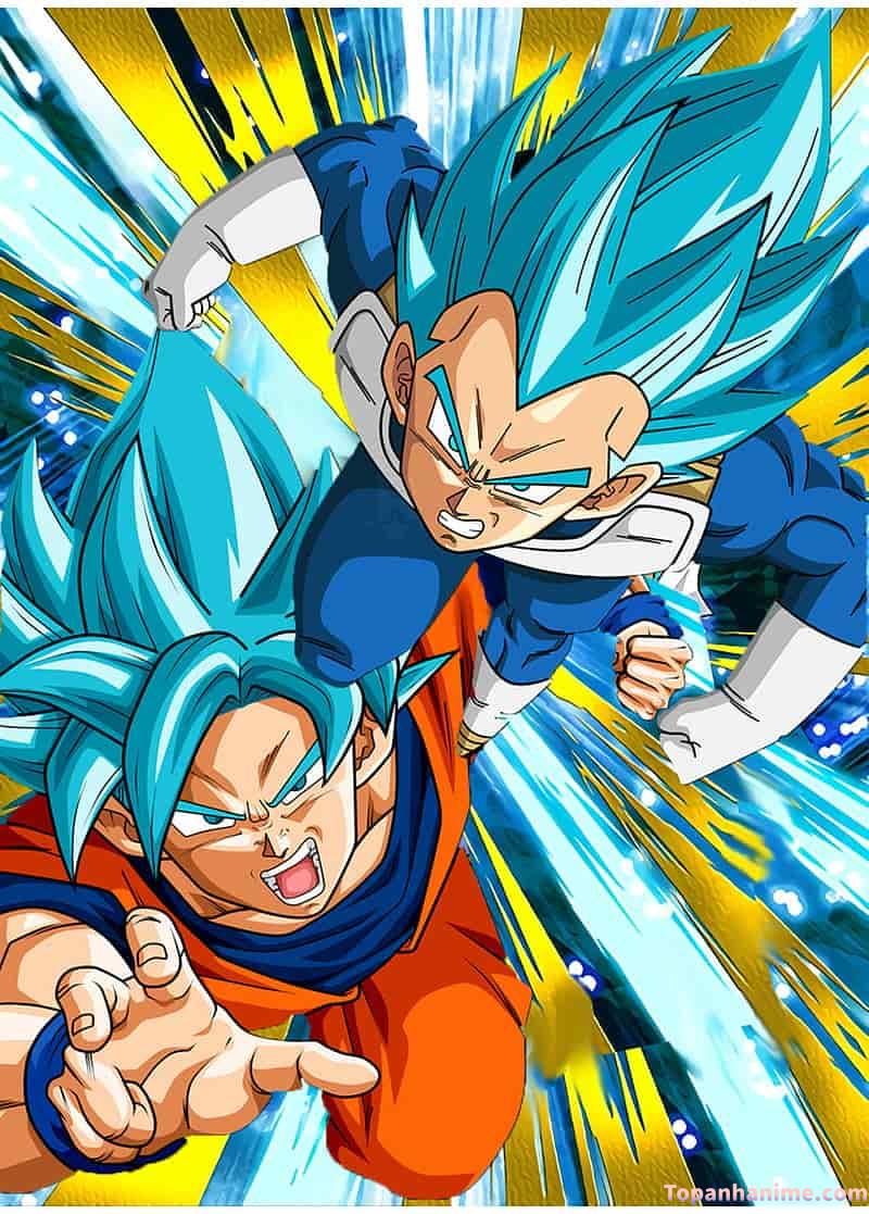 Ngắm ảnh vegeta miễn phí
