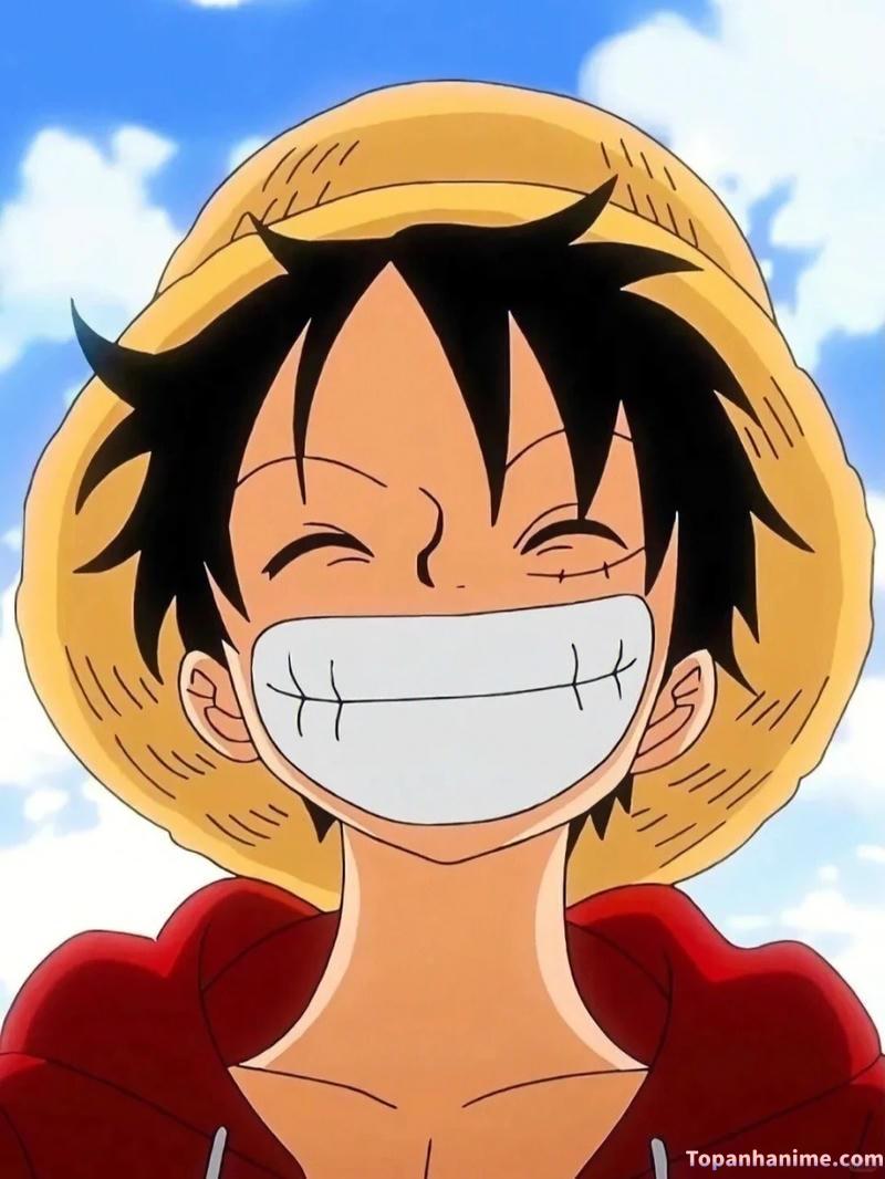 Tải về ảnh luffi chất lượng cao