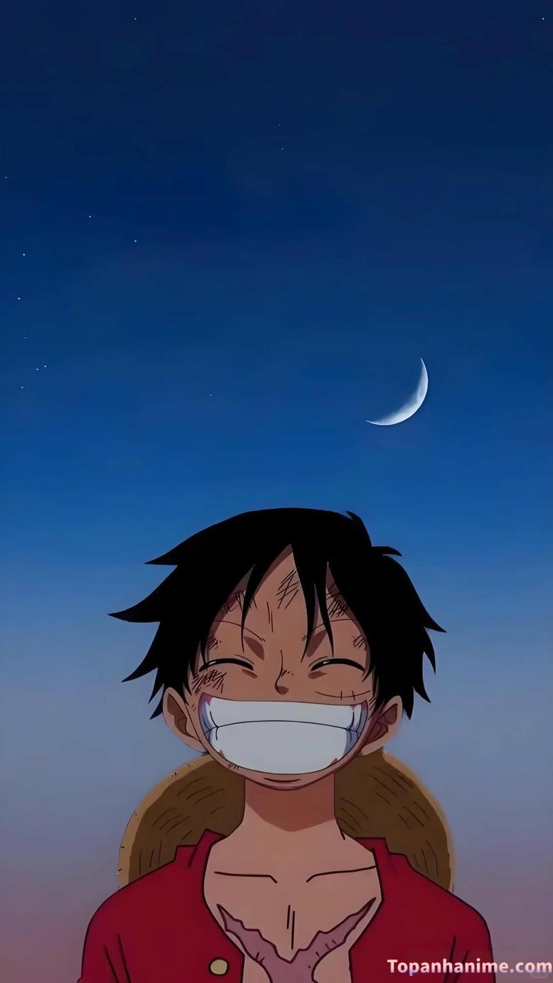 Tuyển chọn ảnh luffi thu hút