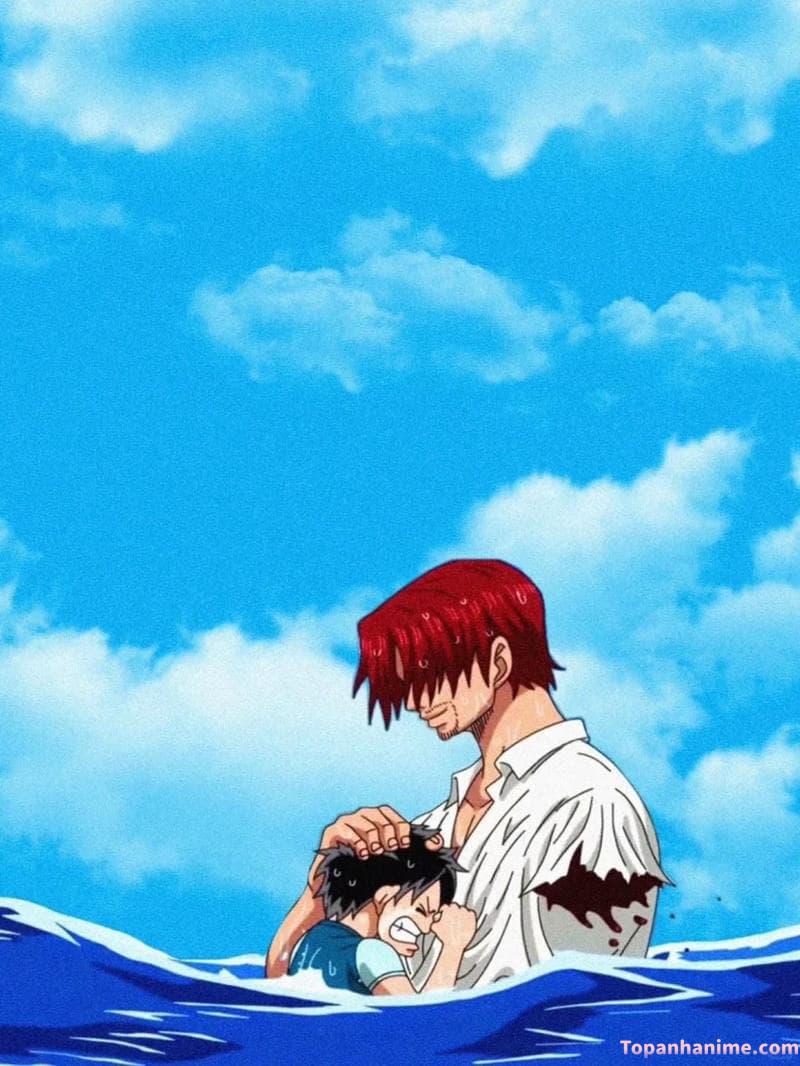 Tuyển tập bộ ảnh shanks miễn phí