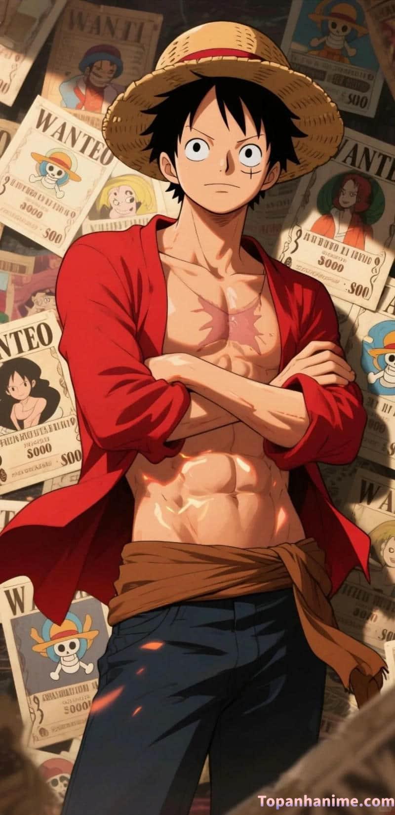 Xem ảnh luffi đẹp