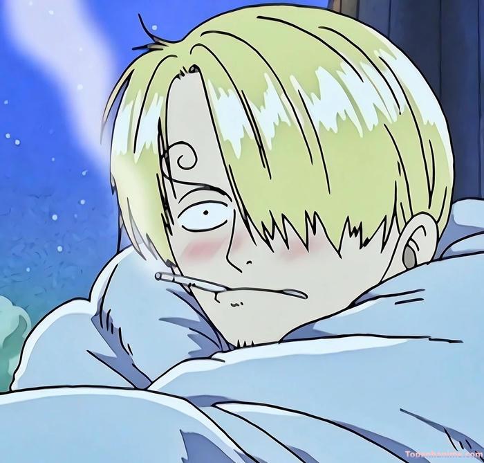 ảnh Vinsmoke Sanji