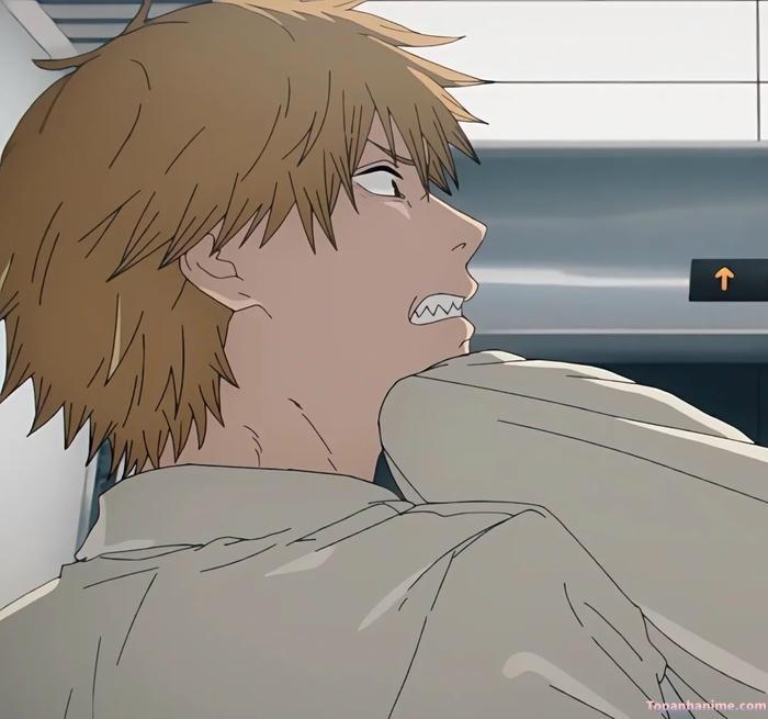 ảnh denji anime đẹp full hd