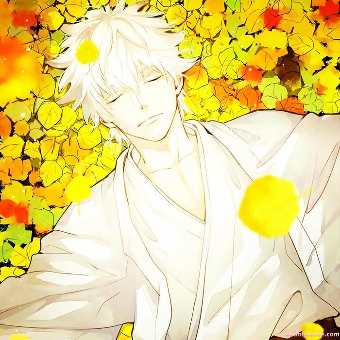 ảnh gintoki sakata hd