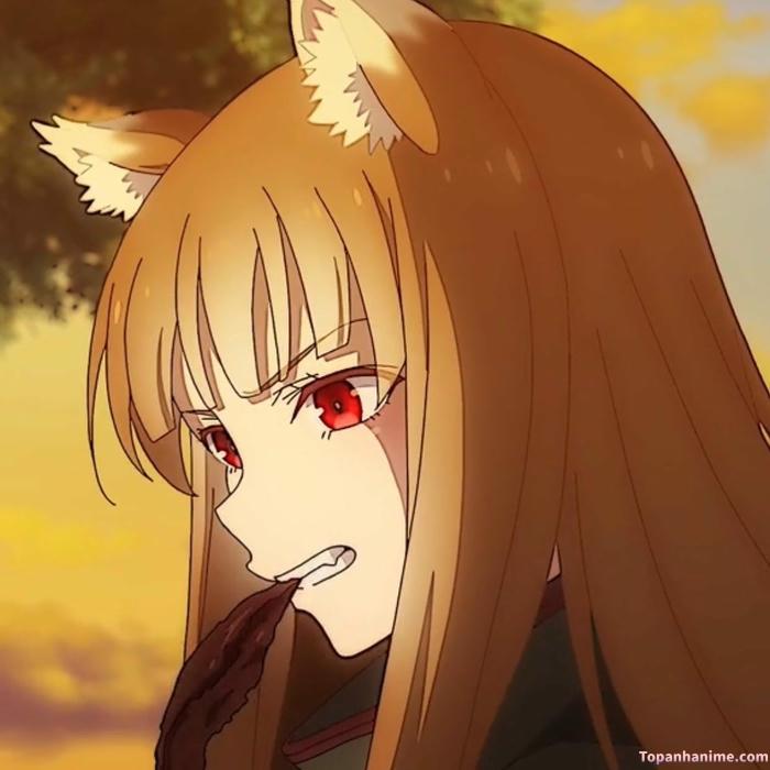 ảnh holo anime đẹp full hd