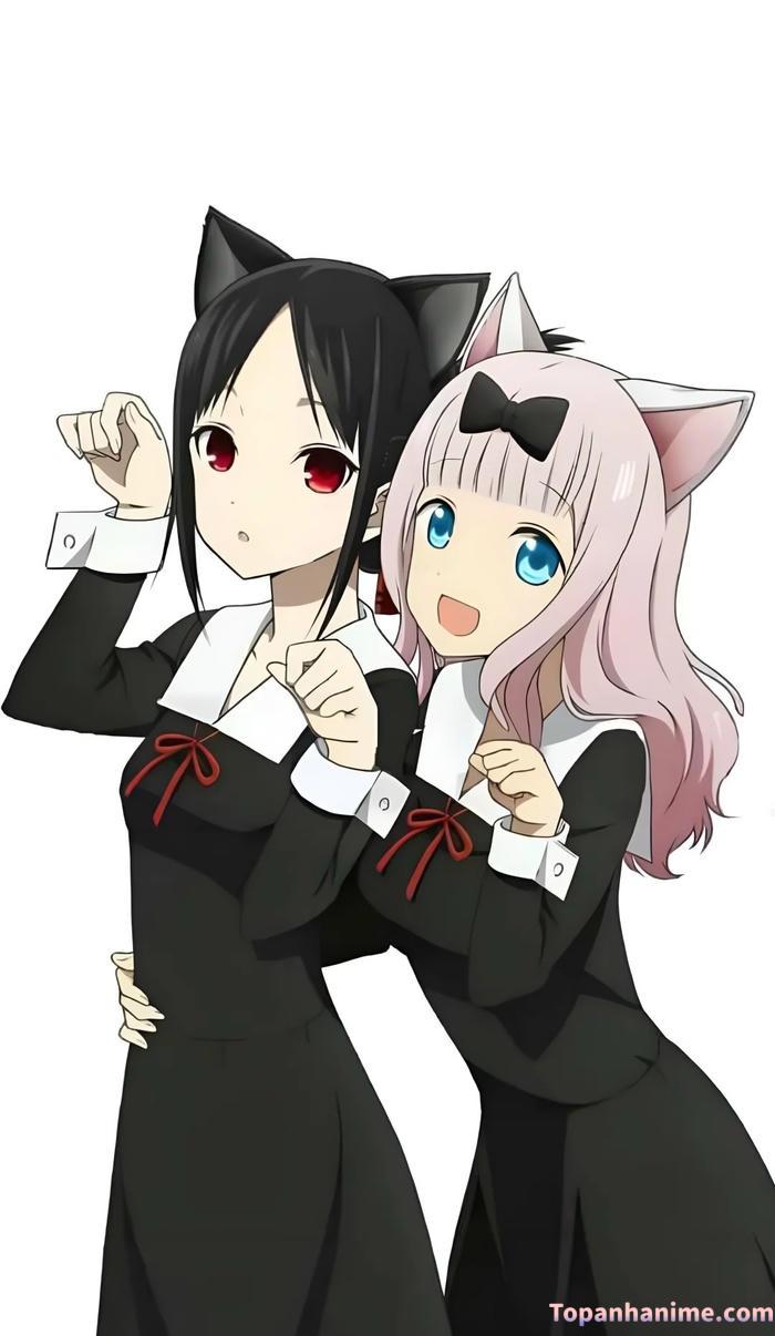 ảnh kaguya shinomiya siêu nét 4k