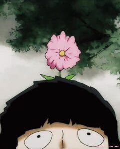 ảnh shigeo kageyama 4k