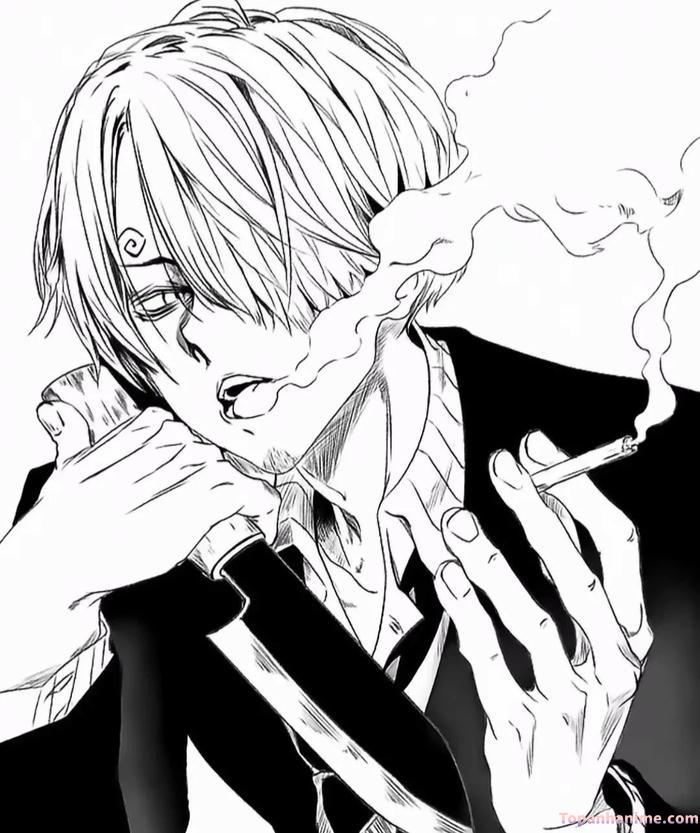 ảnh vinsmoke sanji hd