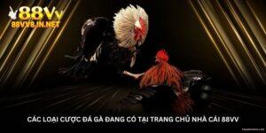cac-loai-cuoc-da-ga-dang-co-tai-trang-chu-nha-cai-88vv