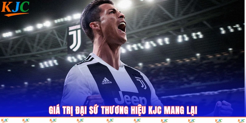 dai-su-vai-tro-ben-trong-noi-bo