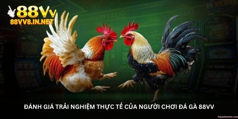 danh-gia-trai-nghiem-thuc-te-cua-nguoi-choi-da-ga-88vv