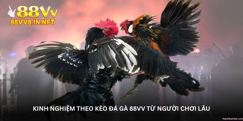 kinh-nghiem-theo-keo-da-ga-88vv-tu-nguoi-choi-lau