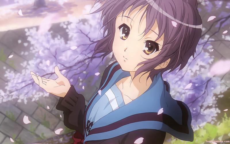 Album ảnh yuki nagato mới nhất