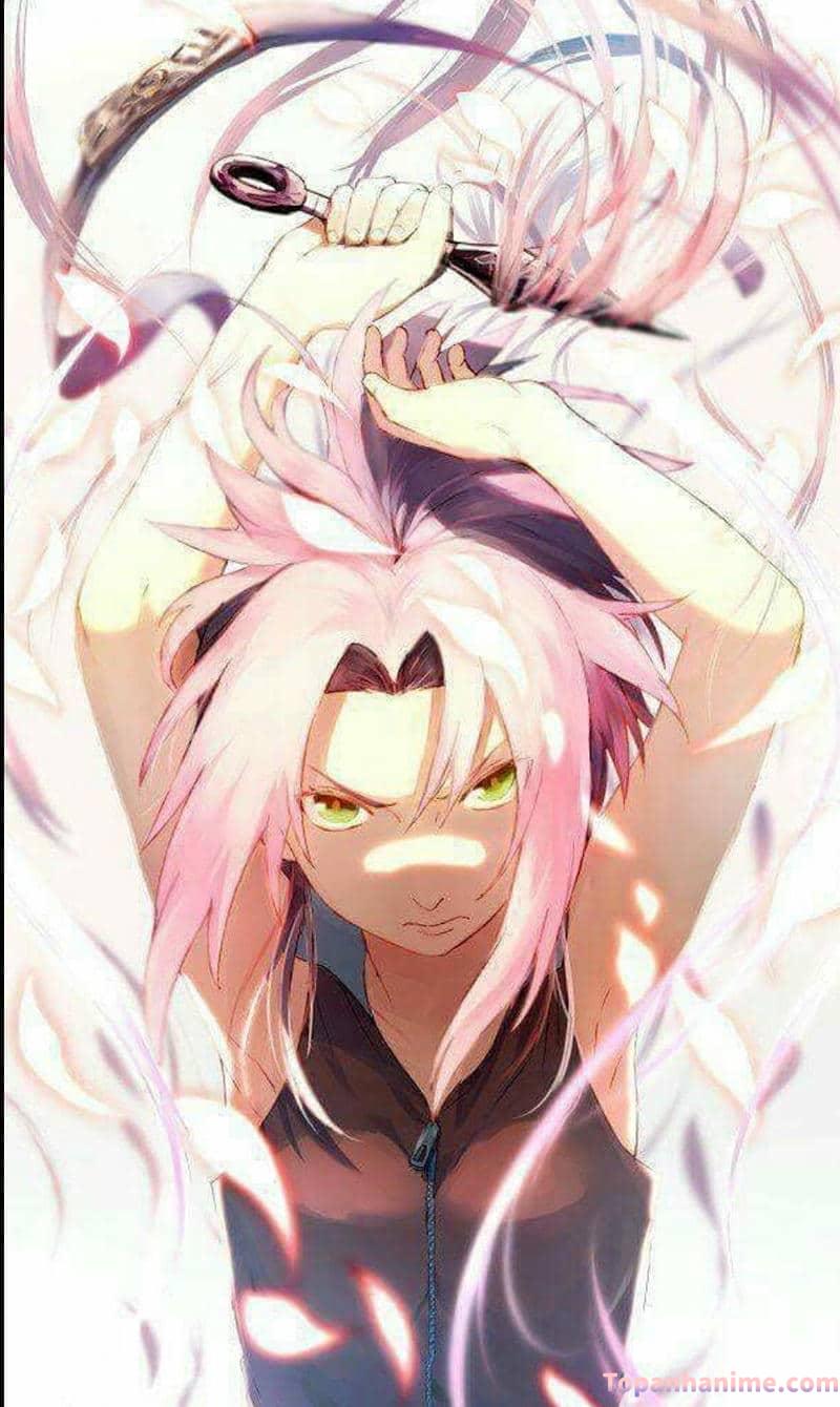 Bộ ảnh haruno sakura cuốn hút