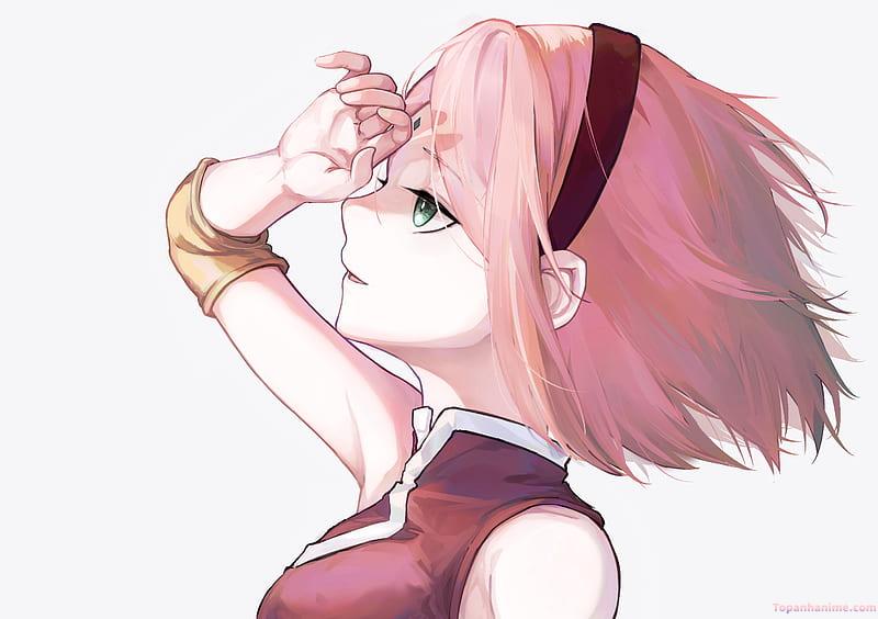 Bộ ảnh haruno sakura thu hút