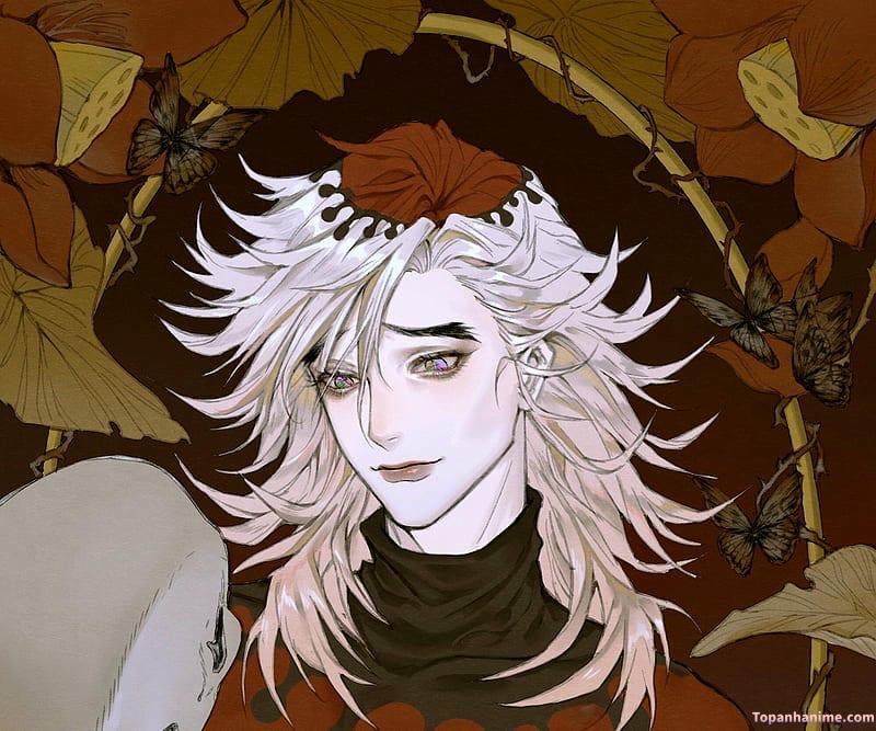 Bộ sưu tập ảnh douma mới nhất