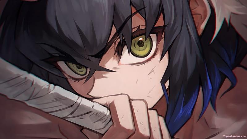 Bộ sưu tập ảnh inosuke hashibira đẹp