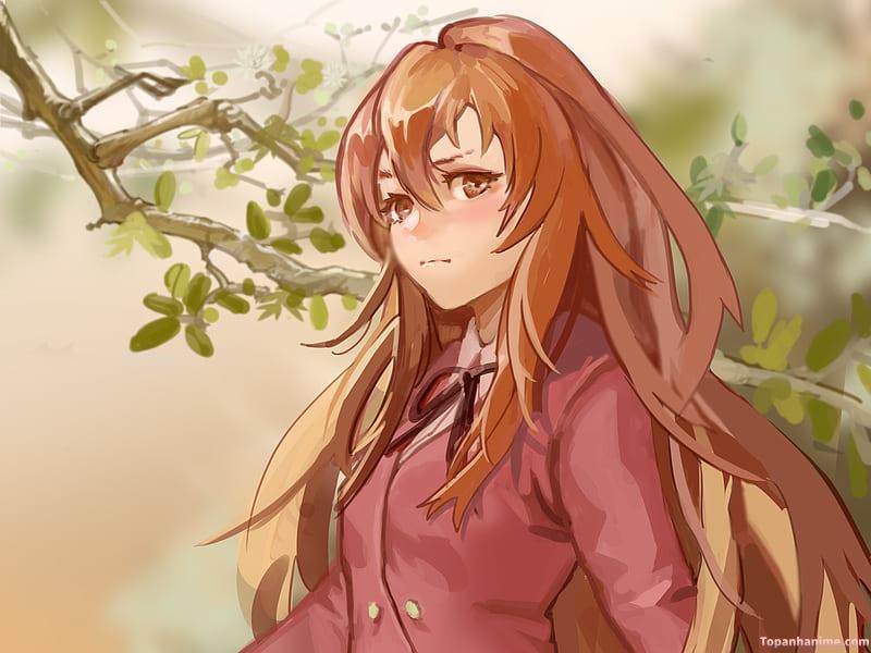 Bộ sưu tập ảnh taiga aisaka đẹp nhất