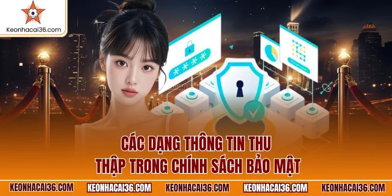 cac-dang-thong-tin-thu-thap-trong-chinh-sach-bao-mat