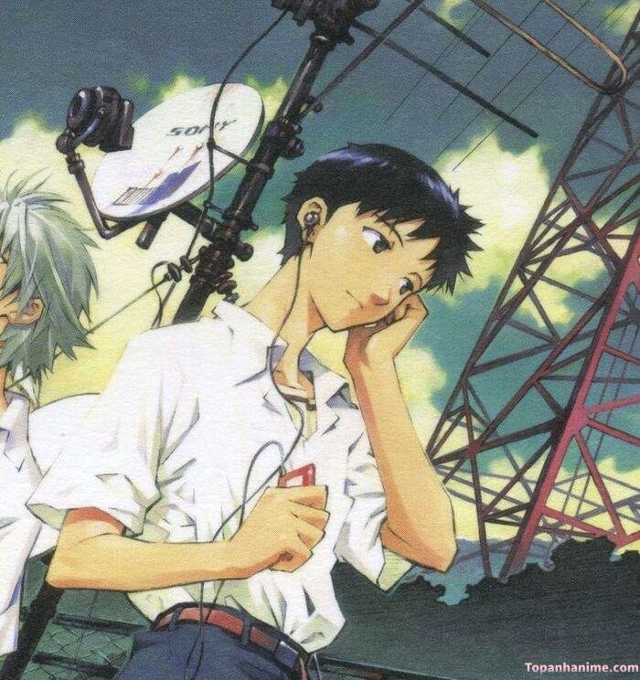 ảnh Shinji Ikari đơn giản