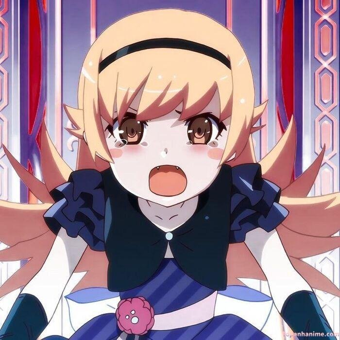 ảnh Shinobu Oshino xinh
