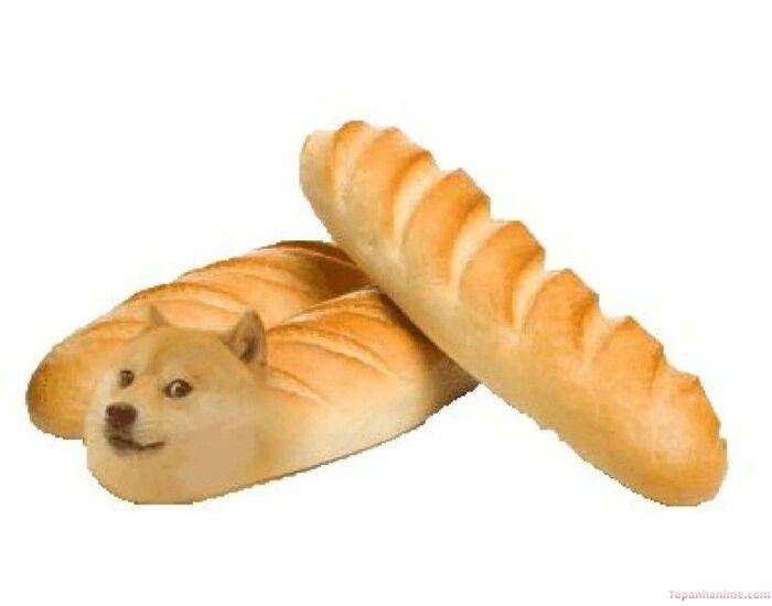 ảnh cheems meme bánh mì
