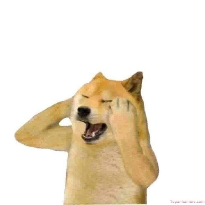 ảnh cheems meme cực hài