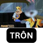 ảnh fake taxi meme hài