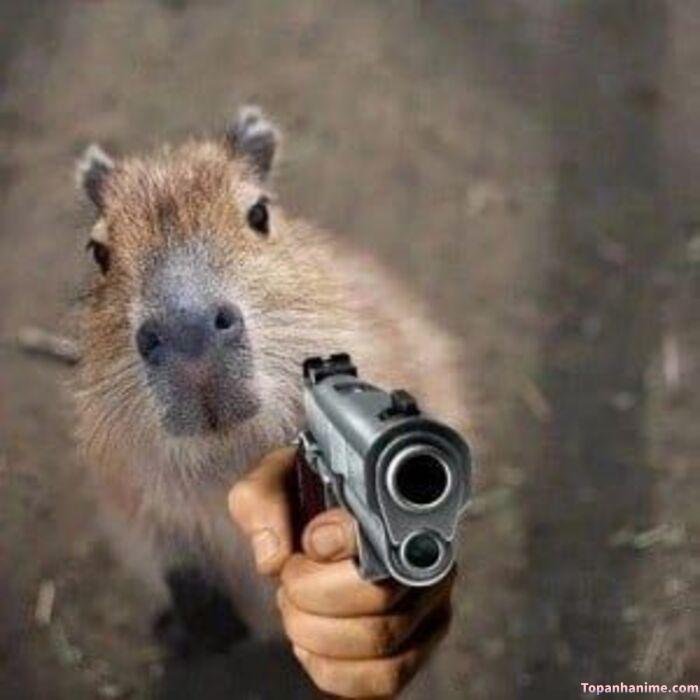 capybara meme bắn súng