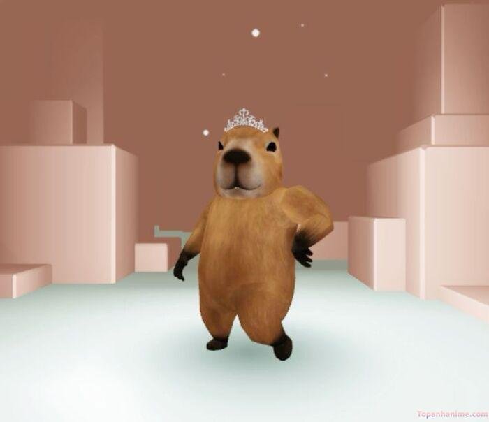 capybara meme hài lố