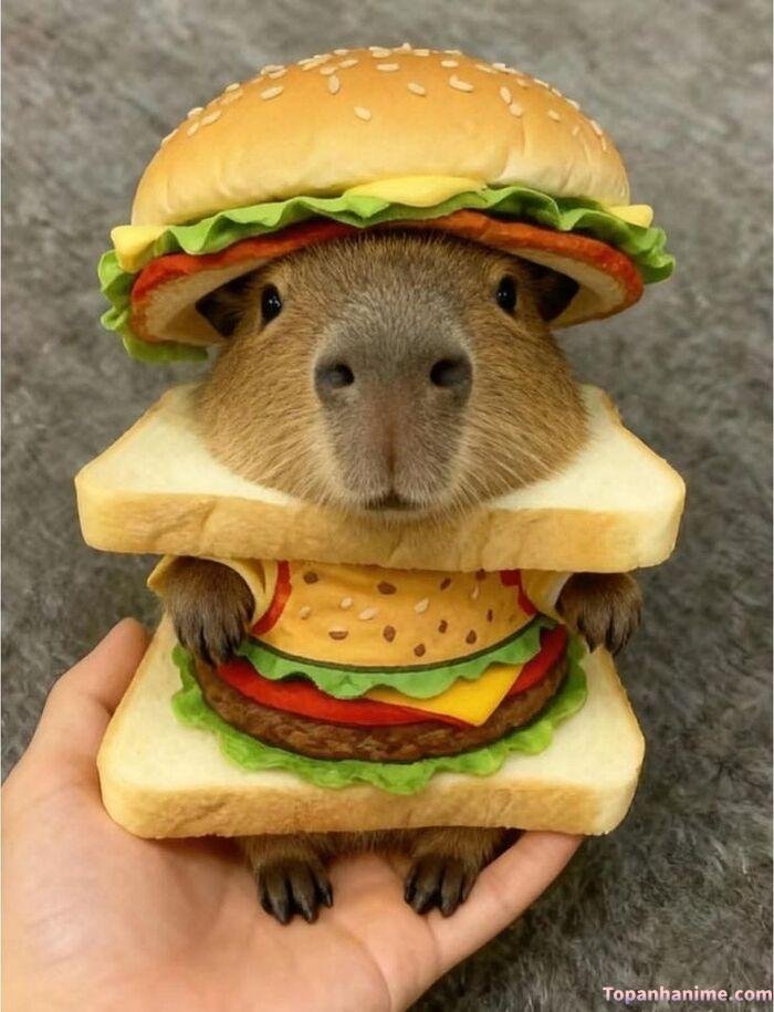 capybara meme hambeger