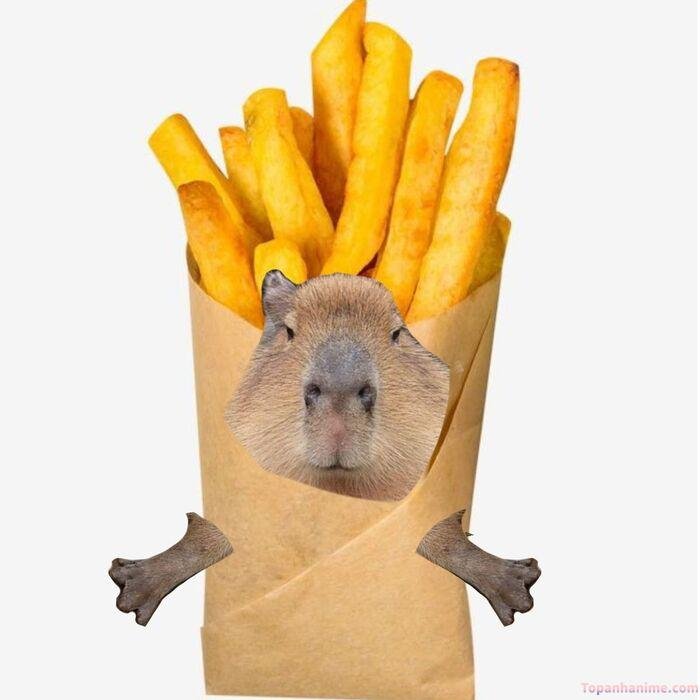 capybara meme khoai chiên