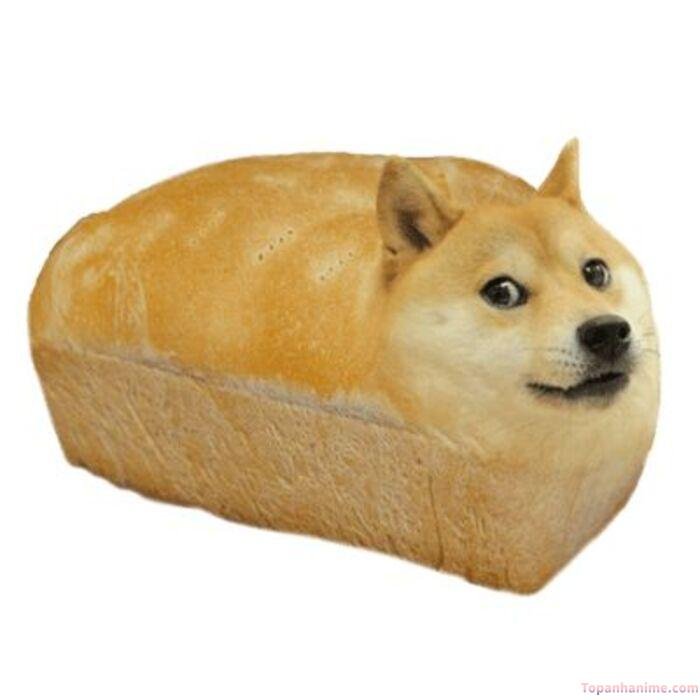 cheems meme bánh mì