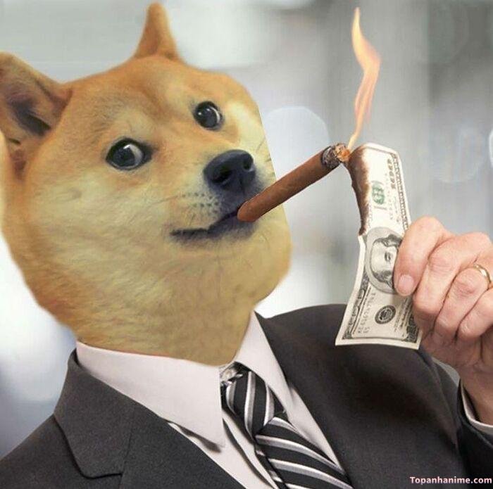 cheems meme cực hài