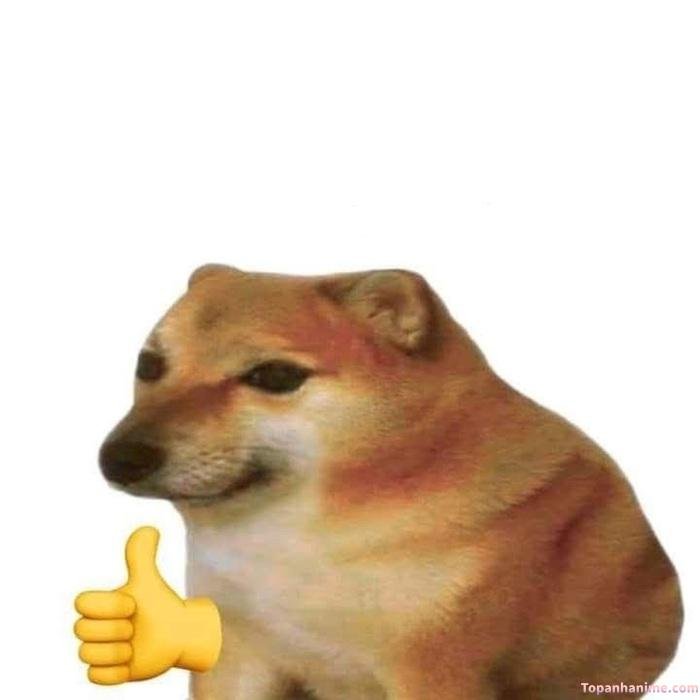 cheems meme hài nhất