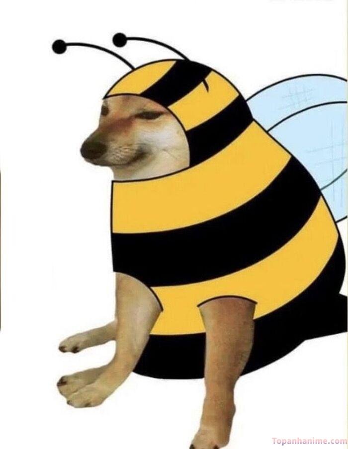 cheems meme lố