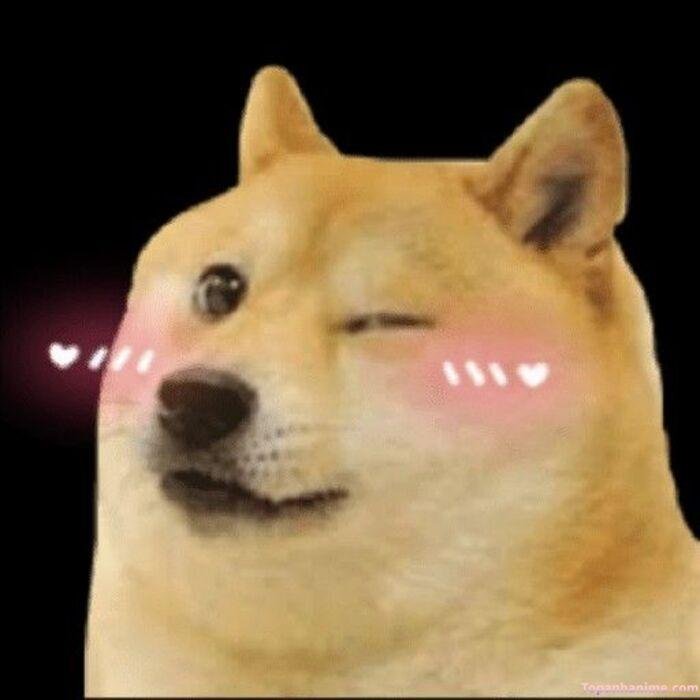 cheems meme nháy mắt