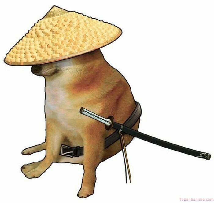 cheems meme siêu bựa