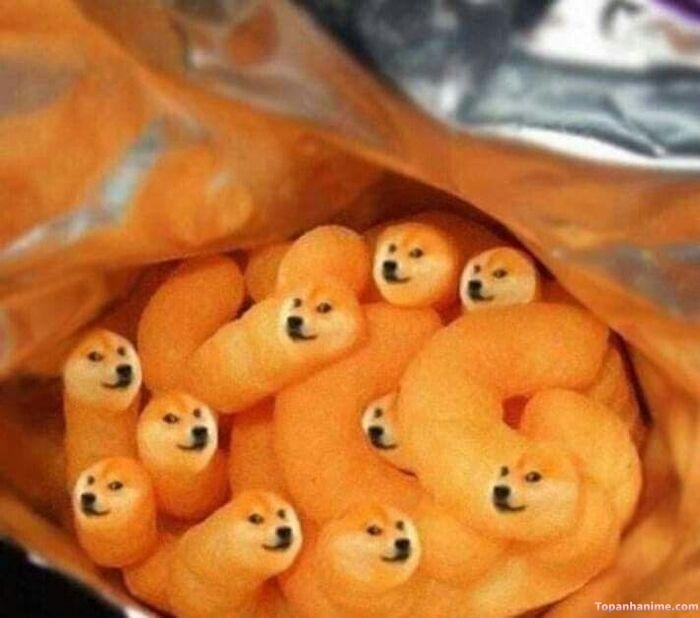 chó meme biểu cảm lố