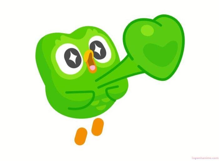 duolingo meme hài hước nhất