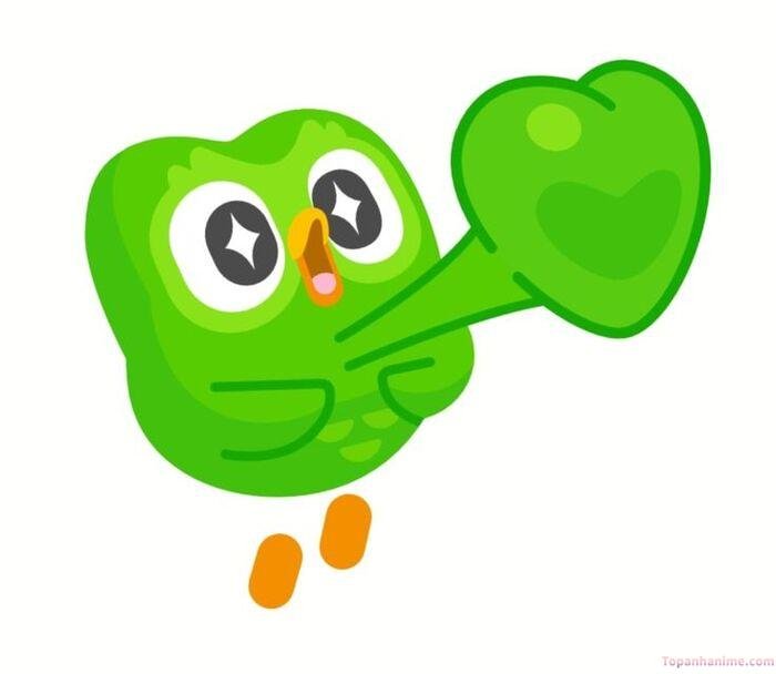 duolingo meme hài