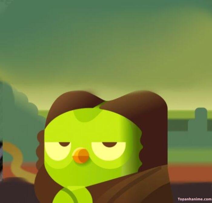 duolingo meme nhắc học bài