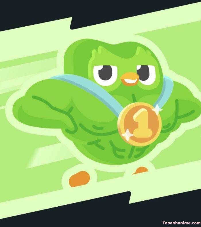 duolingo meme nhìn bất lực