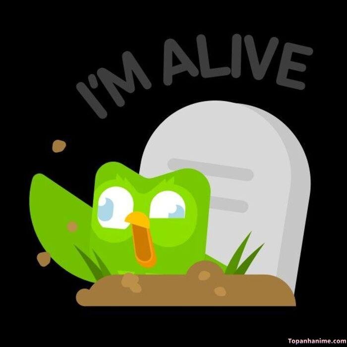 duolingo meme nhìn đáng nghi