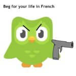 duolingo meme nhìn đáng sợ nhẹ