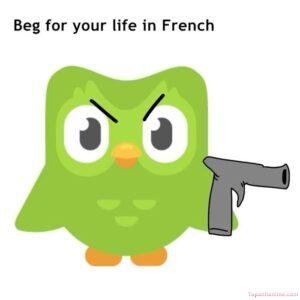 duolingo meme nhìn đáng sợ nhẹ