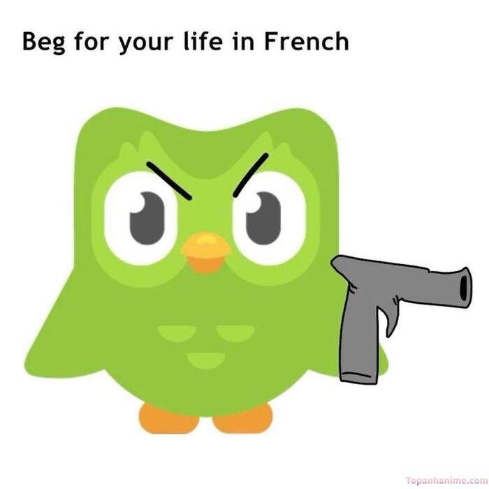 duolingo meme nhìn đáng sợ nhẹ