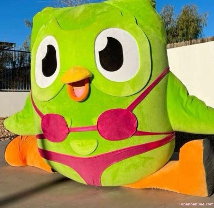 duolingo meme nhưng hài