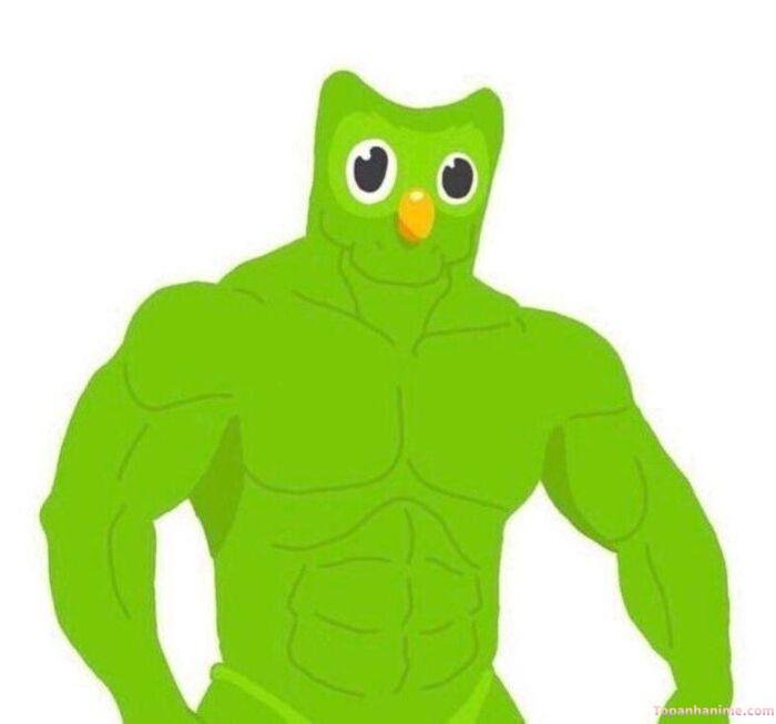 duolingo meme siêu hài